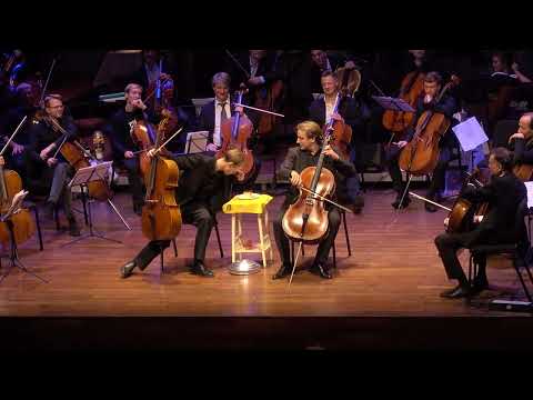 Cello! Cello! Ma non troppo...