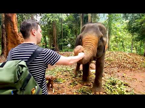 DARA Thailand thumbnail