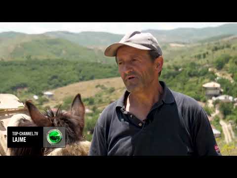 Top Channel/ “Kudo po gërmojnë”: trashëgimia e lashtë shqiptare e grabitur