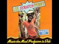 Lee Perry & Mad Professor - The Other Side of Midnight