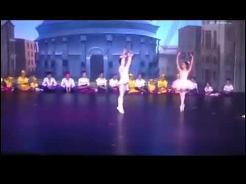 Pa de duex (Coppélia)