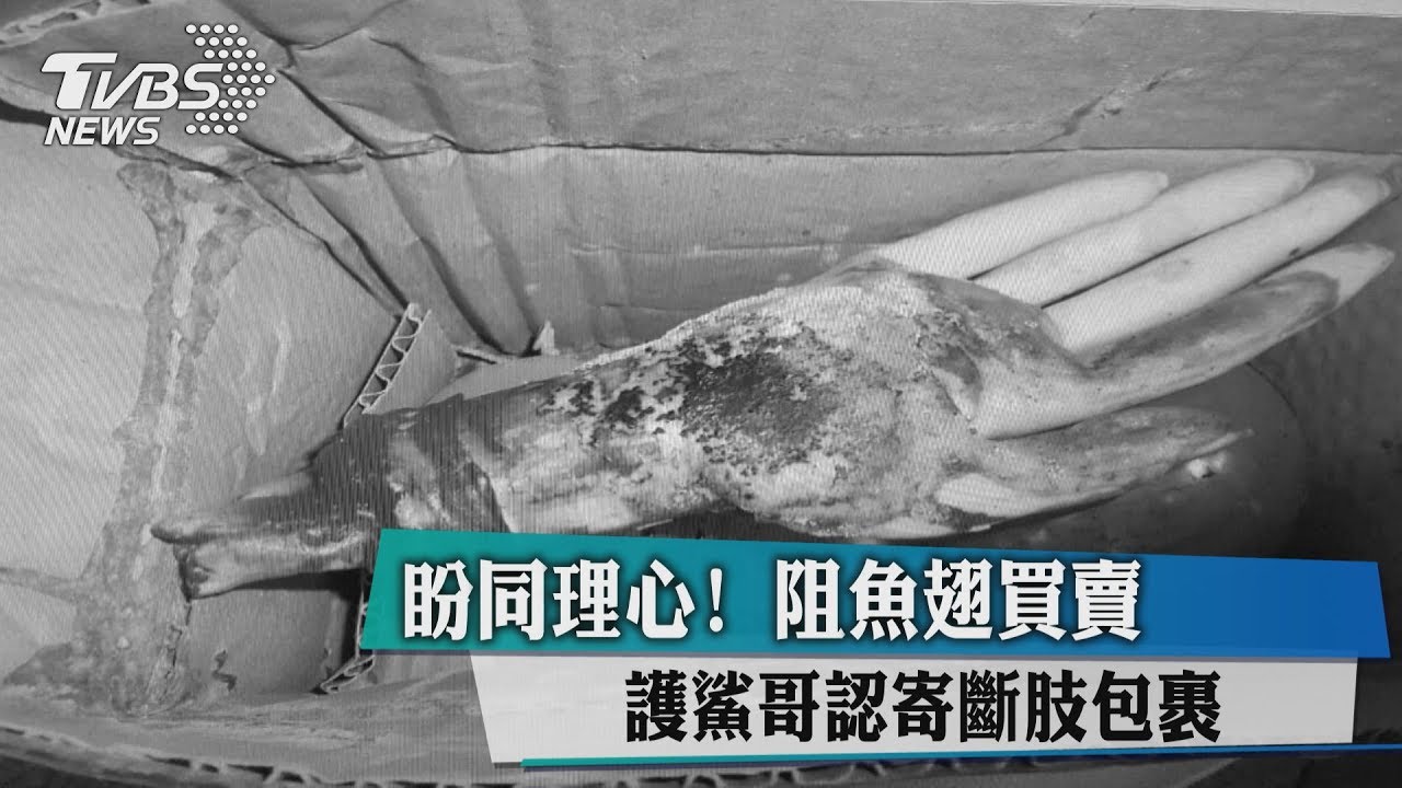 盼同理心!阻魚翅買賣 護鯊哥認寄斷肢包裹