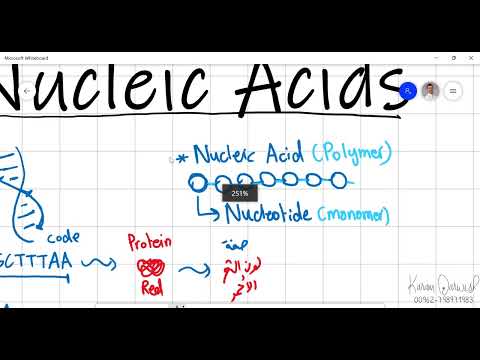 Biology 101 - Chapter 5.5 | Molecules of life - Nucleic Acids