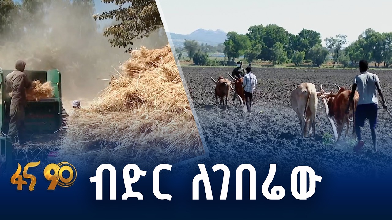 አርሶ አደሩን ተጠቃሚ ያደረገው የብድር ሥርዓት