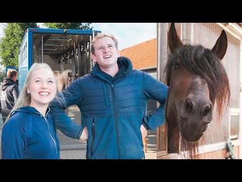 Wir bekommen NEUE TIERE?!