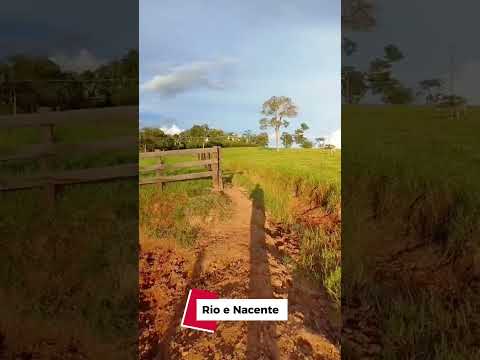 Propriedade Alto Alegre dos Parecis RO... Casa nova/ Rio com nascente/ curral/ baia/ Tulha/ pastagem