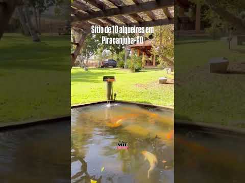 SÍTIO À VENDA – PIRACANJUBA/GO • Área total: 10 alqueires (48,4 ha)#agro #sitioavenda