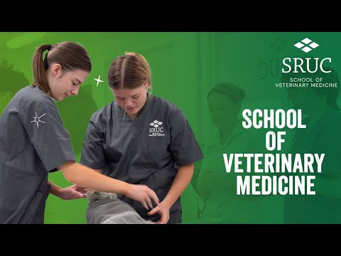 Study at SRUC School of Veterinary Medicine