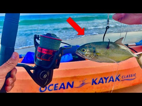 Big Sharks - Small Budget - Mastering Affordable Shark Fishing