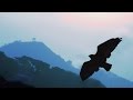 Pan Flute - Instrumental Worldhits Vol.1 / more than 90 minutes of flute de pan music