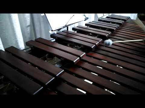 Inni di lode N°403: Il Regno Tuo, Signor Marimba Cover