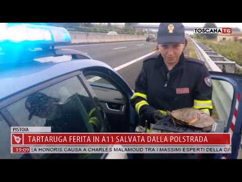 2018-05-15 TG REGIONALE ORE 19.00