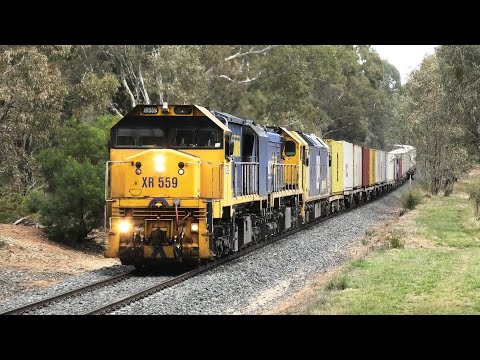 XR559-X50-BL27 on a very late 7901V.   10-04-21.