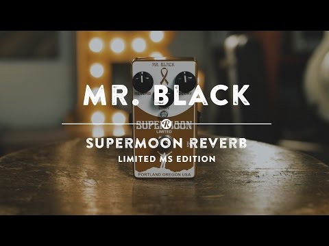 Mr. Black Supermoon Reverb Pedal - Chrome Edition image 6