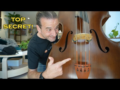 Peter Infeld Double Bass Strings – What Do They Really Sound Like?
