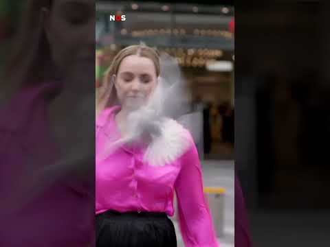 Meeuw vliegt in gezicht van verslaggever. #jeugdjournaal #vogel #nieuws #wow