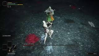 [2026/10/20][ELDEN RING/エルデンリング]　禿人ヒノDの大冒険　※ネタバレあり