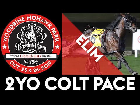 2019 Breeders Crown Elim - Papi Rob Hanover - 2YO Colt Pace