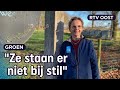 Kippen ophokken tijdens vogelgriep gaat te vaak mis bij hobbyboeren | RTV Oost