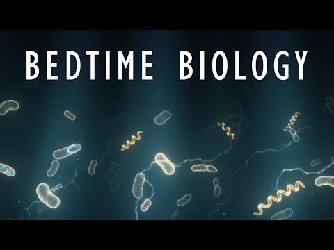 Why Bacteria Rule the World | Science To Sleep To