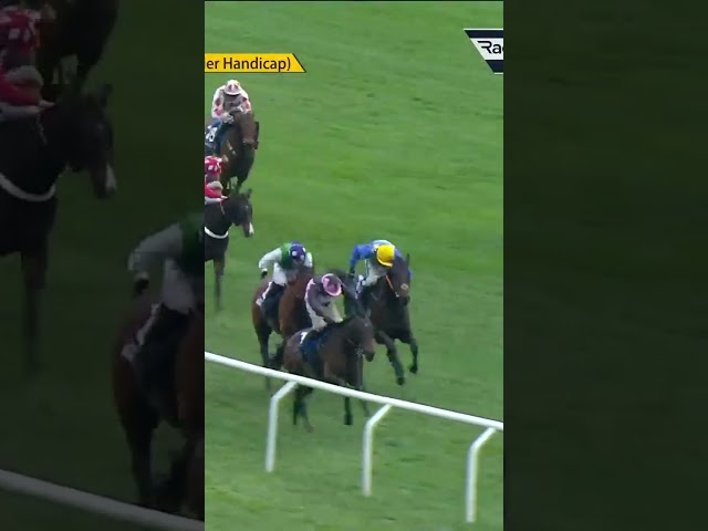 Thumbnail for Post ID: PtXJ4yJcm1M