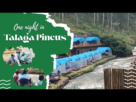 CAMPING SERU! DI TALAGA PINEUS PANGALENGAN BANDUNG