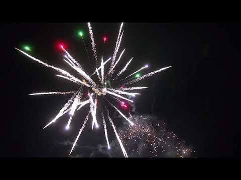 Cakebox 16Sh 30mm - "Tropenpalmen" [Batch 2018]