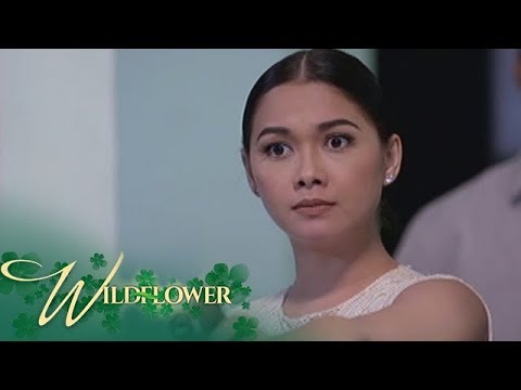 Wildflower: "Ako si Lily Cruz at wala akong pakialam kung sinong Poncio Pilato ka man!" | EP 202