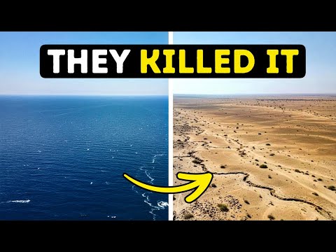 Human Made Disasters: A Legacy of Destruction | Golden Age