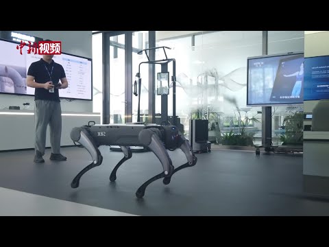 【活力中国】2024年广东智能机器人产业集群营收超900亿元 加速全球化布局