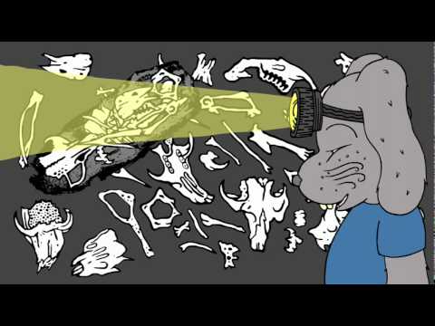 Video thumbnail for Owl Pellets