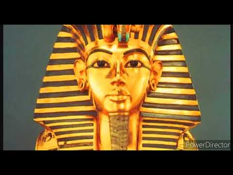 Money Counter Rail - Pharaoh