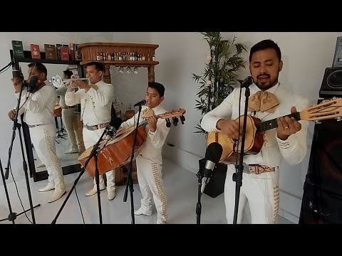 El Mariachi Alazán - Hermoso Cariño (Vicente Fernández)
