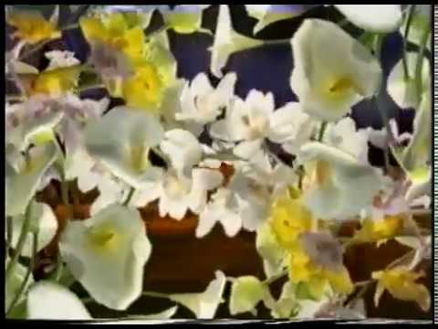 Marc Almond - The Desperate Hours official video