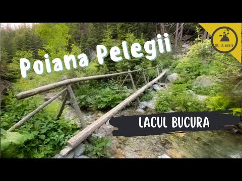 traseu la Lacul Bucura din Poiana Pelegii