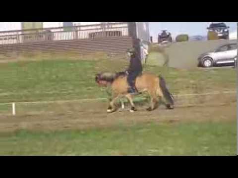 Seðill frá Laugardælum