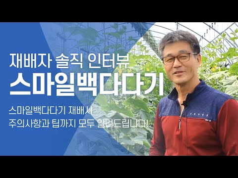, title : '[오이 재배] ‘스마일백다다기’  재배농가의 솔직 인터뷰!'