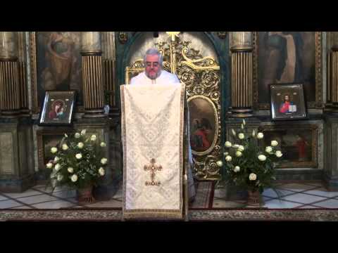 04.01.2015 Dum dinaintea Botezului Domnului - Pr.Prof. Dr. Dumitru Meghesan