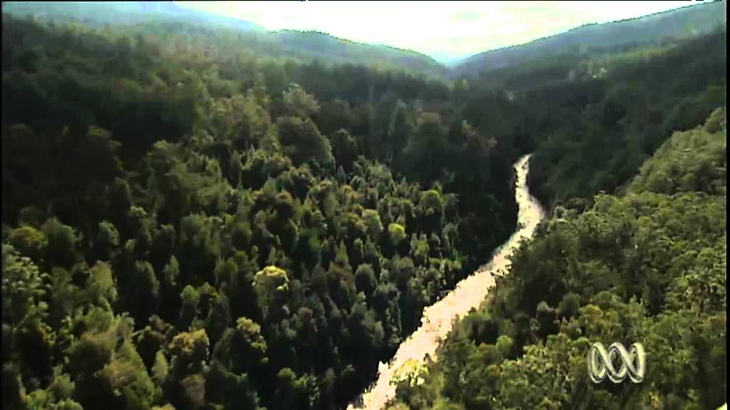 Forestry Tasmania future