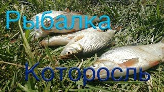 Которосль река рыбалка
