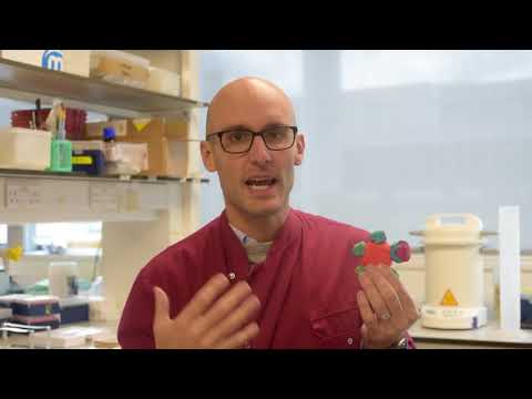 The Brough lab on their new research