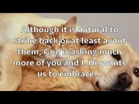 There must always be room in your heart for forgiveness.