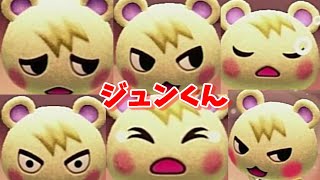 【あつ森】ジュンくんリアクション全44種類コンプリート集【あつまれどうぶつの森】