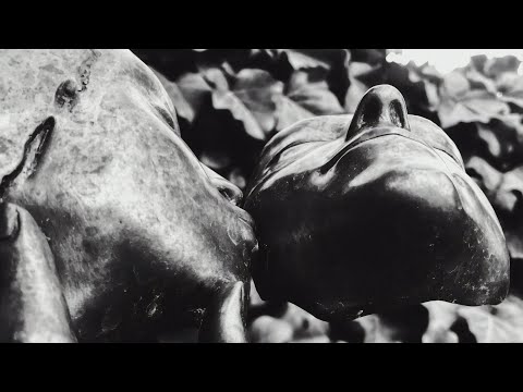 anatu - nothing like a broken heart