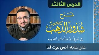 صورة الدرس الثالث من شرح شذور الذهب - أنس عزت آغا