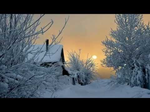 ◆ Physical Dreams - Under The Rain (Original Mix) [Miami Mafia Sounds Records] ◆