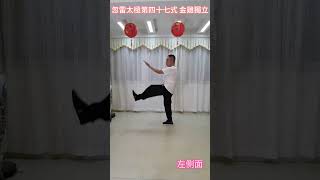 Tai Chi Golden Rooster Stands on One Leg demonstration thumbnail