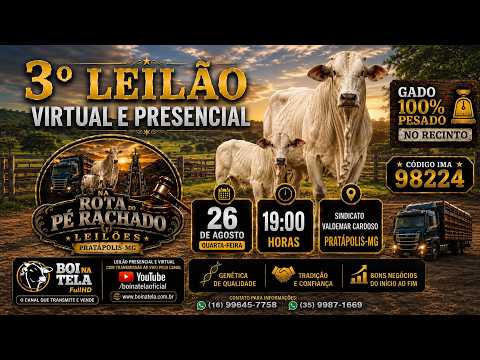 3º leilão Na Rota do Pé Rachado Pratápolis - MG / 26.08.2026 / Transmissão ao vivo Boi Na Tela