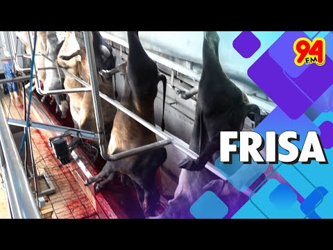 Frigorífrico Frisa em Nanuque celebra novo marco histórico de abates