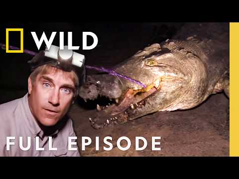 How Big are Monster Crocs? (Full Episode) | Dangerous Encounters | Nat Geo Animals